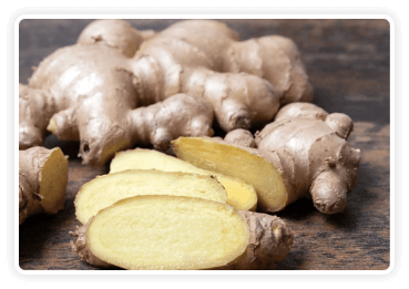 Himalayan Mountain Ginger metabolic support