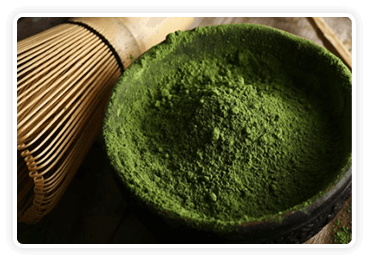 Ceremonial Green Tea EGCG thermogenic ingredient